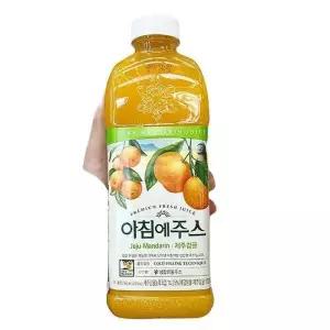 서울 아침에주스 (제주감귤) 950ml X 2개 b81206 (29268760)
