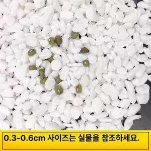 마당돌 콩자갈 강자갈 자갈돌 조경용돌 조경돌 흰자갈 인테리어 정원꾸미기 돌 구이용
