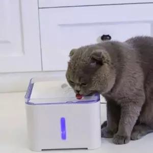 고양이 정수기 강아지 정수기 정수형 자동 대용량펫 필터 디스펜서