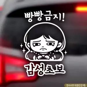 [RIZPICK]자동차스티커 빵빵금지 감성초보 초보운전 반사 차량