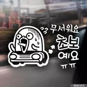 [RIZPICK]자동차스티커 무서워요 초보예요 덕구 화이트시트지