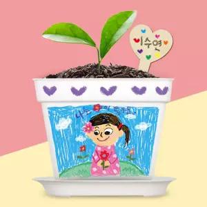 강남콩 씨앗 식물키우기 화분 재배키트 5인 새싹재배 보육센터 DIY키트 가정용 수업용