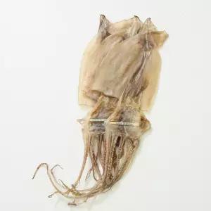 한진건해 건오징어 마른오징어 말린오징어 국내산 동해 오징어 특/대 3마리