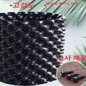 분갈이 에어포트분재 대형 가드닝 잔뿌리 묘목