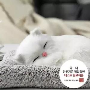 차량용탈취제 흰색고양이 소형 리얼펫 제습인형 /탈취제/차량용탈취/에어컨탈취