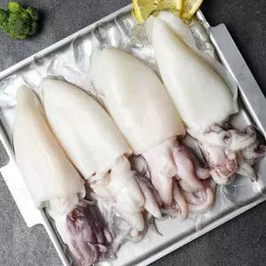 [E] 손질 통 갑오징어 200g (소/2미)