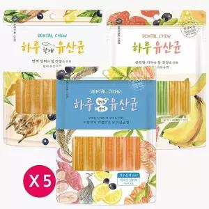 [NS홈쇼핑]네츄럴코어 하루유산균 12p x5개 소프트껌 3종[35921195]