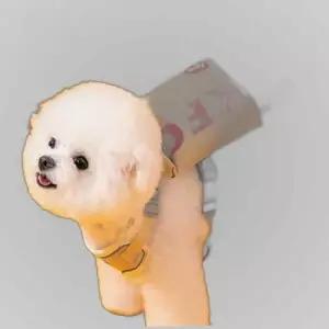 가방 웃는 프렌치프라이 귀여운 가슴줄 리드줄 하네스