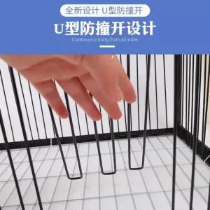 조류포획틀 자동트랩 참새 까치 비둘기 앵무새 탈출방지 포획기 포획망 유해조수퇴치기