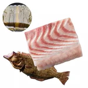 자연산 광어 단백질 필렛 600g 회필렛 야식 메뉴 홈파티룸 회식 피크닉 횟감  가편 요리 재료
