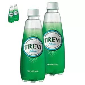 자몽 롯데 트레비 플레인 300ml 20PET