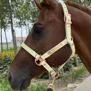 가죽 말굴레 승마 장비