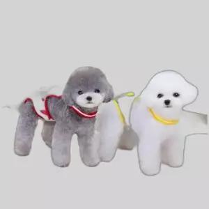BND-F41 과일 홀터넥 강아지 중성화복