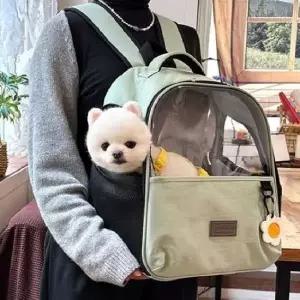 반려견 바스켓 이동가방 EA데이지