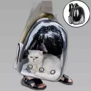 반려동물 투명 이동가방 강아지 고양이 캐리어 백팩