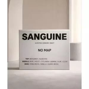 SANGUINE 스톤 사쉐 자동차 디퓨저 리필119574