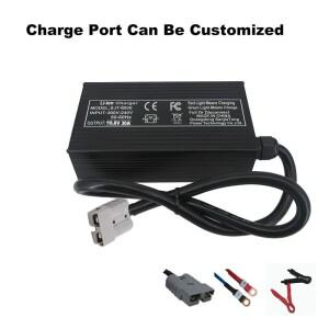 16.8V 30A 고속 충전기 4S 100AH 200AH 리튬 에너지 저장 RV UPS 배터리 SB50 XT90 용 이온