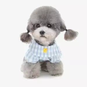 친절한탄씨 TBZ OH 병아리마크 반려동물 평상복 반려동물옷 강아지복 강아지옷 견복 반려동물평상복