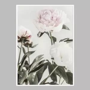 꽃 인테리어액자 flower No1 A2사이즈 그림액자 거실액자