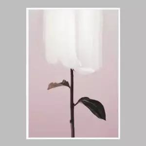 꽃 인테리어액자 flower No4 A2사이즈 그림액자 거실액자