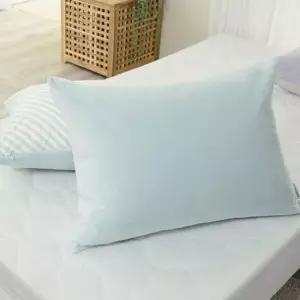 베개커버 플라잉 양면 민트 순면 극세사 50x70 1P