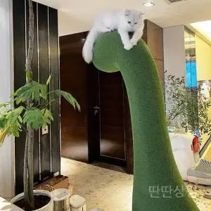 공룡캣타워 공룡 놀이터 반려묘 캣타워 캣워크 캣폴 대형 등반 고양이카페