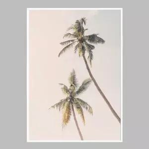 슬림 인테리어액자 Tropical Palms A2사이즈 그림액자 거실액자