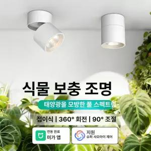 52QUAD 인공태양 미라클모닝 무소음 라디오 일출알람시계 선라이즈