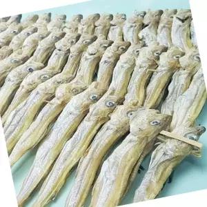 줄 노가리 100마리 건조 대구 노가리 안주 건어물