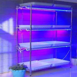 산소 삽목기 LED 재배 모종 채소 재배기 스마트팜 선반