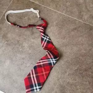 [하프클럽/]자동 넥타이 무지 면학예회 졸업