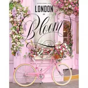 London in Bloom: Floral photography capturing London’s parks, window boxes, and secret blossom-fill