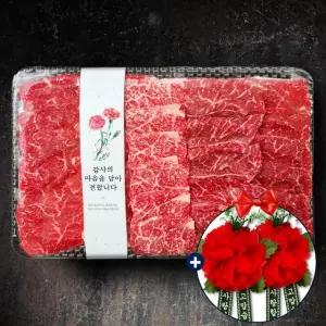 1++ 한우 설도 특수 800g 한우선물세트