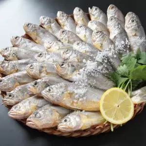 조기 냉동 참조기 2.5kg 52미 내외