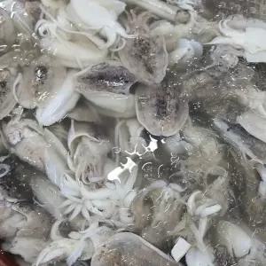 제철 손질 생물 갑오징어 800g