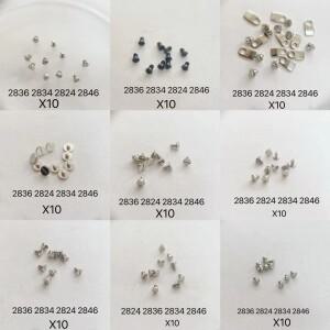 10피스 시계 운동 나사 2836 2824 액세서리 수리 브리지 로터 클러치 부품