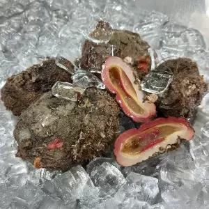 [장보리]남해안 자연산 돌멍게 2kg