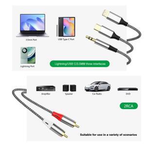 3in 1 RCA 케이블 오디오 AUX 어댑터 3.5mm USB C 라이트닝 to 2 앰프용 자동차 홈 시어터 스피커용