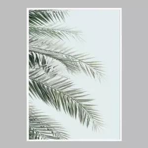 슬림 인테리어액자 Blue Palms A2사이즈 그림액자 거실액자
