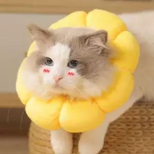 [하프클럽/알티피아]깔대기 고양이 목보호대 넥카라 강아지 S 쿠션 노랑