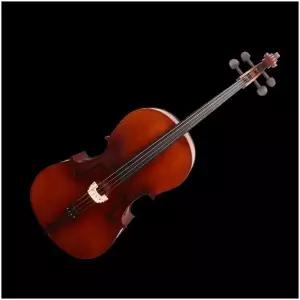 학생용 현악기 첼로 입문용 피나무 CELLO