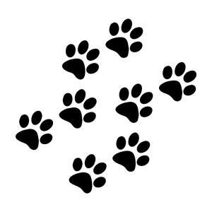 11.4cmX11cm HungMieh 자동차 스티커 고양이 발 PrintSticker 3D 카본 VinvMotorcycles 장식 데칼