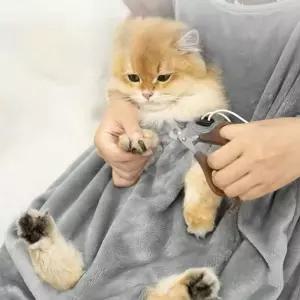 제이제이펫 고양이 캥거루 앞치마 발톱 위생 담요반려동물 이불 고양아