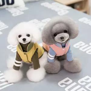 강아지 고양이 누빔 조끼 의류옷 강아지티 패션 예쁜 애견 셔츠 산책 패딩 외투 겨울