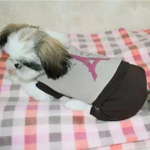 귀여운 강아지 에펠탑 큐빅 옷 브라운 펄 프린팅애견여름패션 티셔츠 나시 민소매 반려 펫나시
