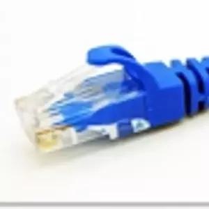 인터넷연결 가정 서버 CAT6 사무실 20M 랜선 블루
