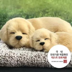 차량용탈취제 냄새제거 래브라도 리얼펫 용탈취 에어컨 자동 담배