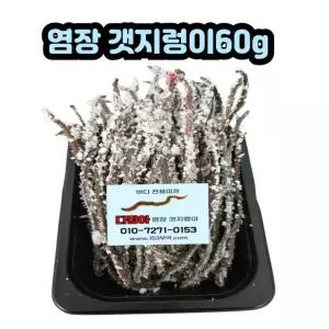 염장갯지렁이60g낚시용미끼바다선상갯바위