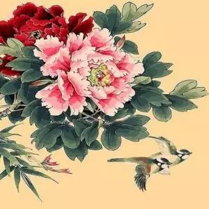 액자 피포페인팅 셀프페인 목단향 Q064 DIY명화그리기