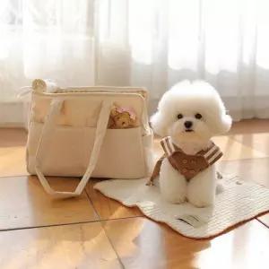 채우다샵 산책갈까쏘옥백 강아지앞가방 산책갈까